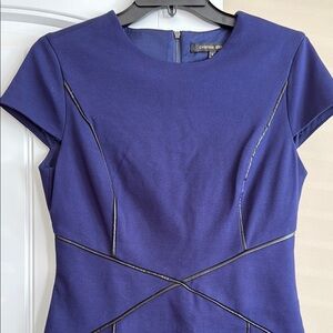 Cynthia Steffe Elegant Navy Blue Dress Size 6